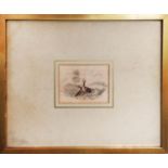 18th CENTURY SCHOOL 'A Pair of Pheasants', watercolour and pencil, monogrammed 'AJH', 7.5cm x