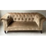 CHESTERFIELD SOFA, Victorian walnut upholstered in golden brown velvet with rounded buttoned back