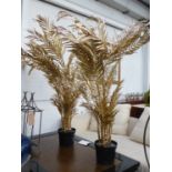 FAUX PALM TREES, a pair, gilt finish, potted, 160cm H approx. (2)