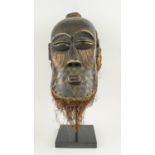 SONGYE CONGOLESE MASK, carved wood with dried grass beard and cowrie shell decoration, 55cm H.