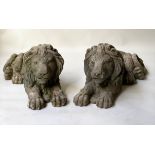 GARDEN/GATE LIONS, a pair, opposing form weathered mossed reconstituted stone, each recumbent,