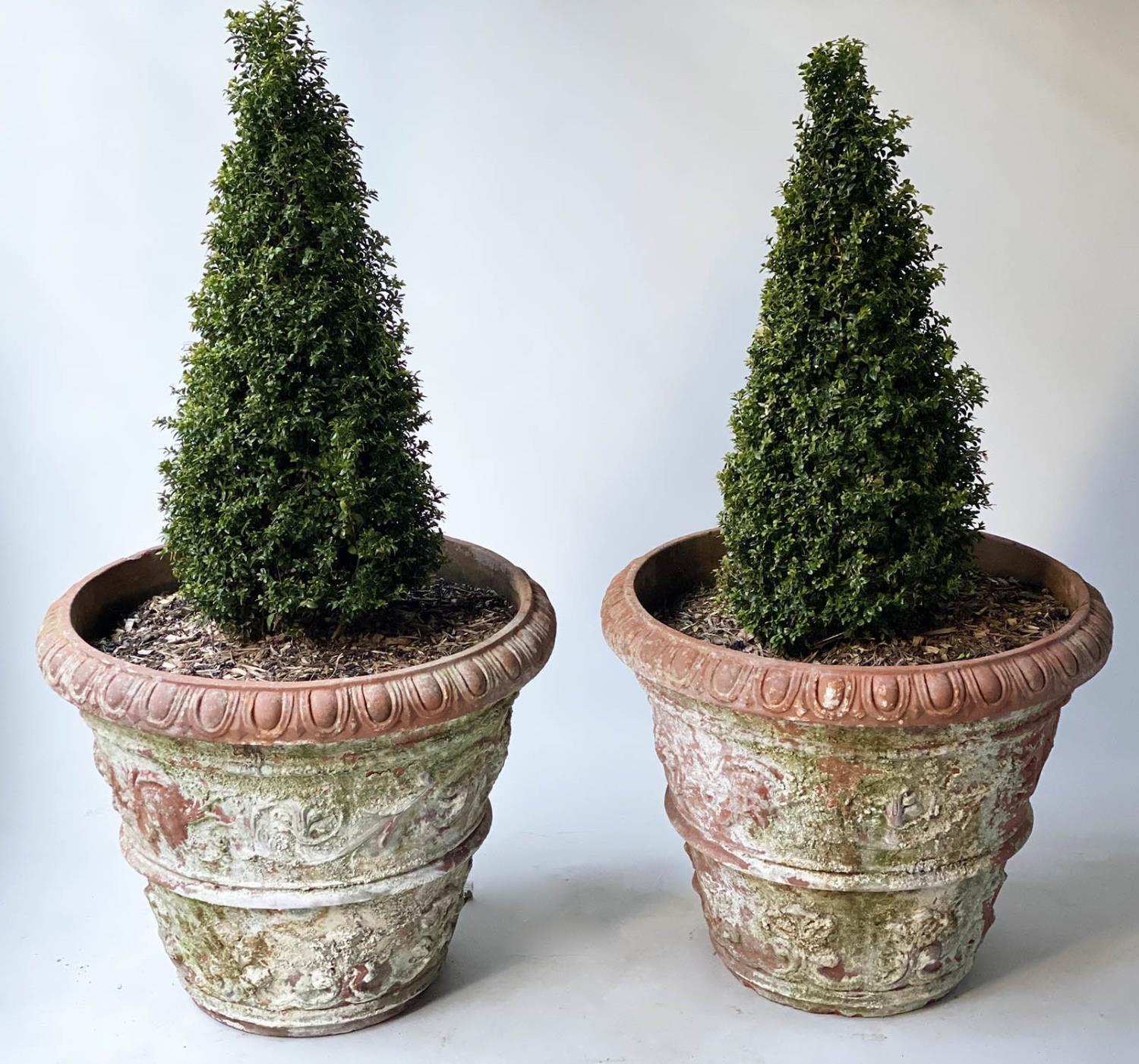 PLANTERS, a pair, weathered terracotta conical with egg and dart rims and classical acanthus