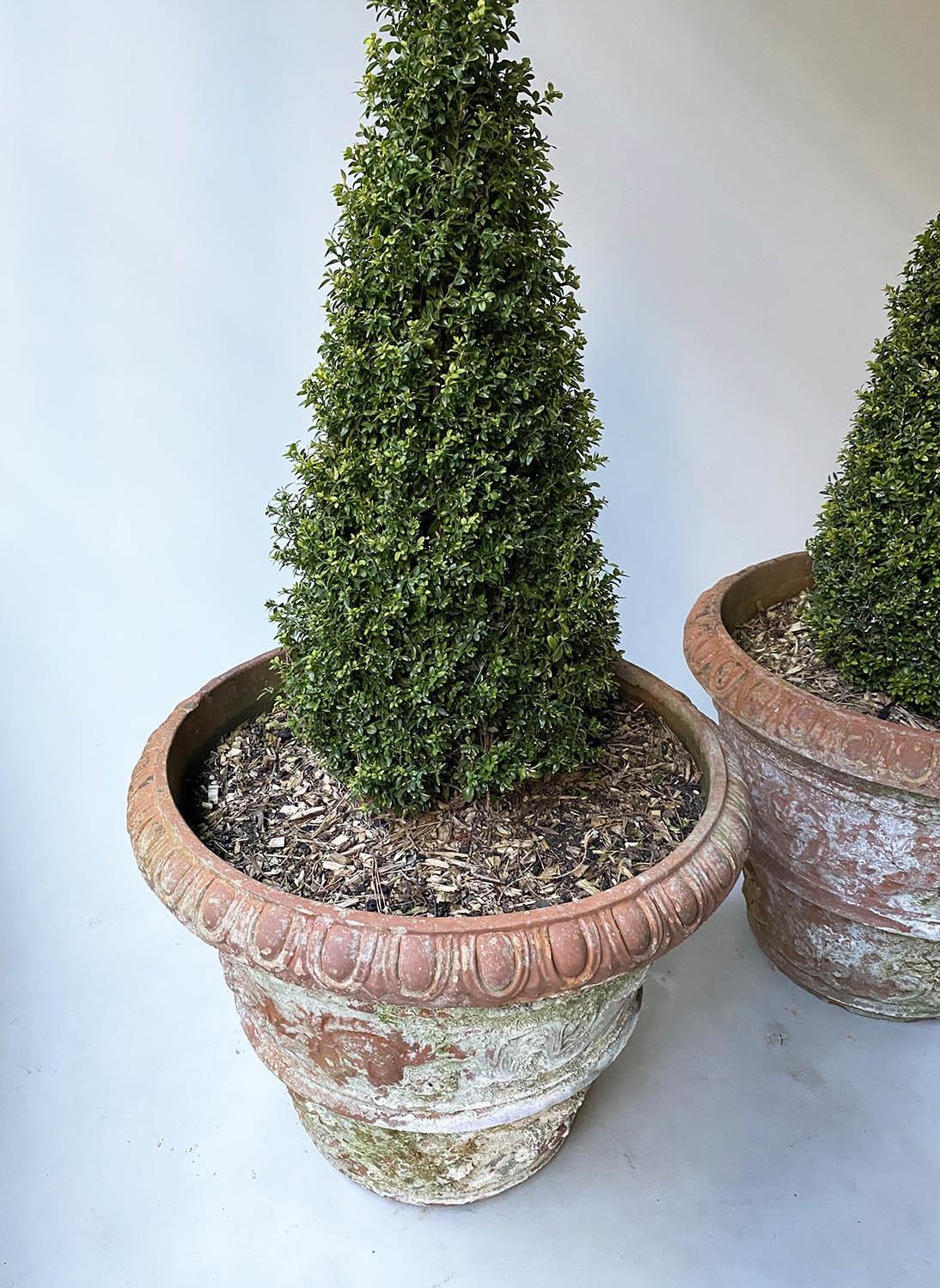 PLANTERS, a pair, weathered terracotta conical with egg and dart rims and classical acanthus - Image 5 of 6