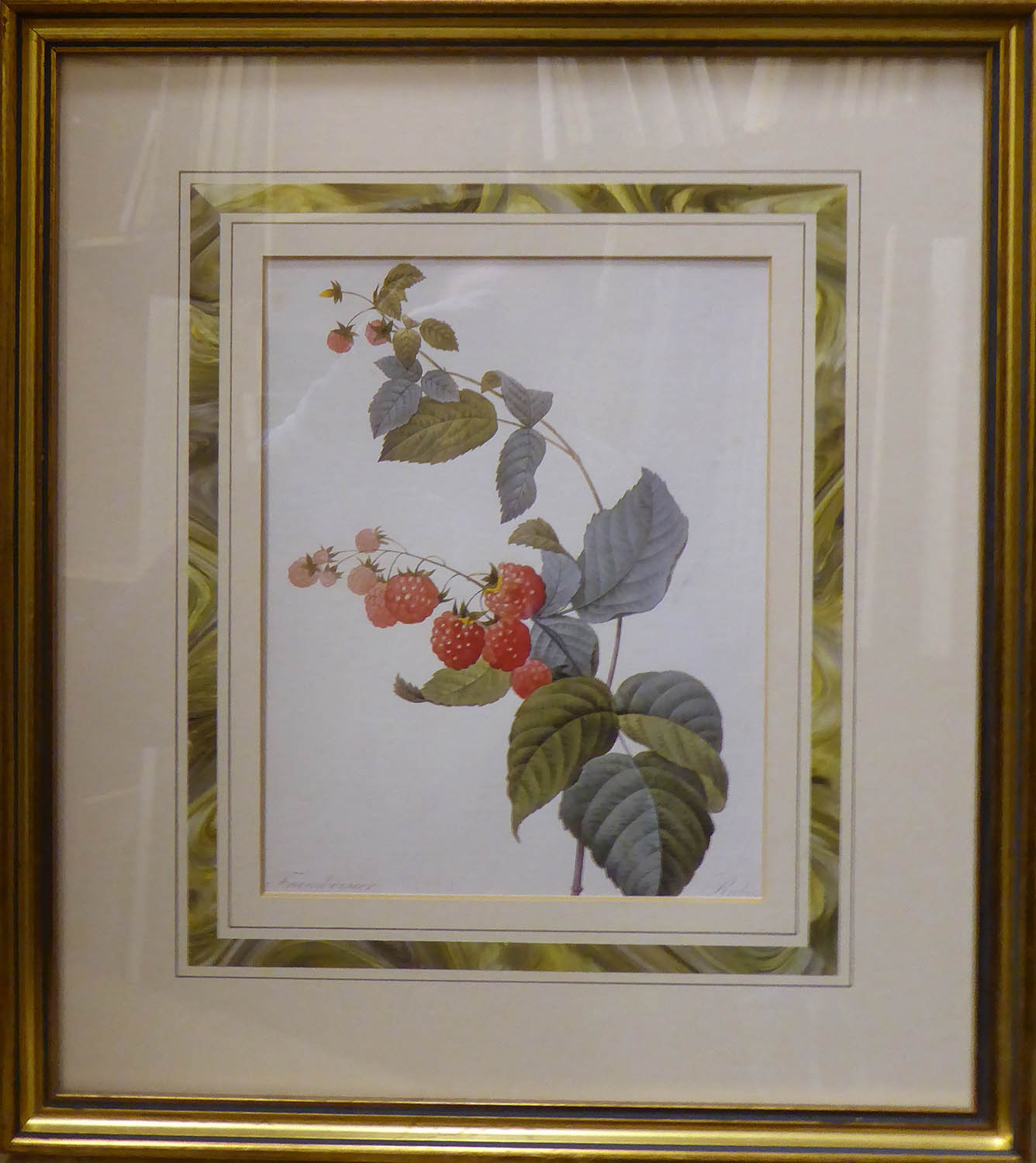 BOTANICAL PRINTS, of fruit, set of six, gilt framed, 25cm x 30cm each. (6) - Image 4 of 5