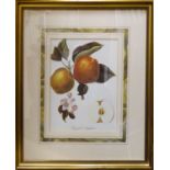 BOTANICAL PRINTS, of fruit, set of six, gilt framed, 25cm x 30cm each. (6)