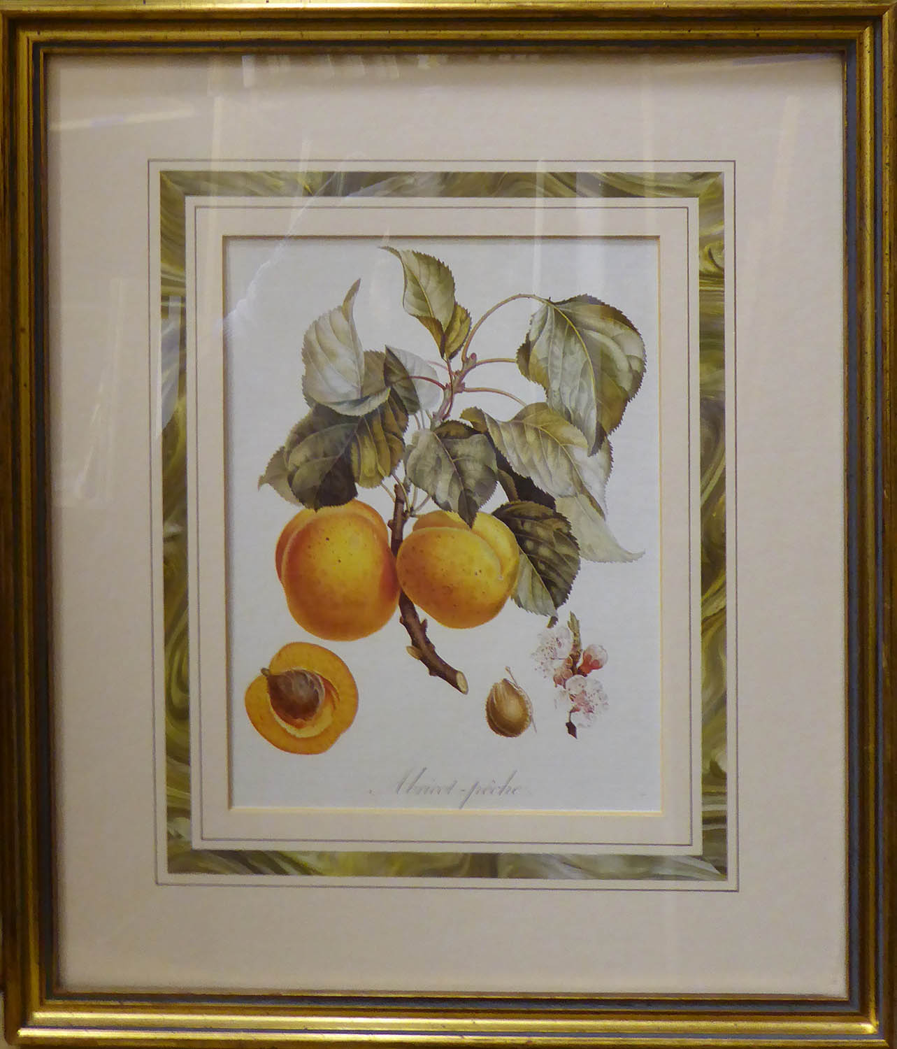 BOTANICAL PRINTS, of fruit, set of six, gilt framed, 25cm x 30cm each. (6) - Image 5 of 5