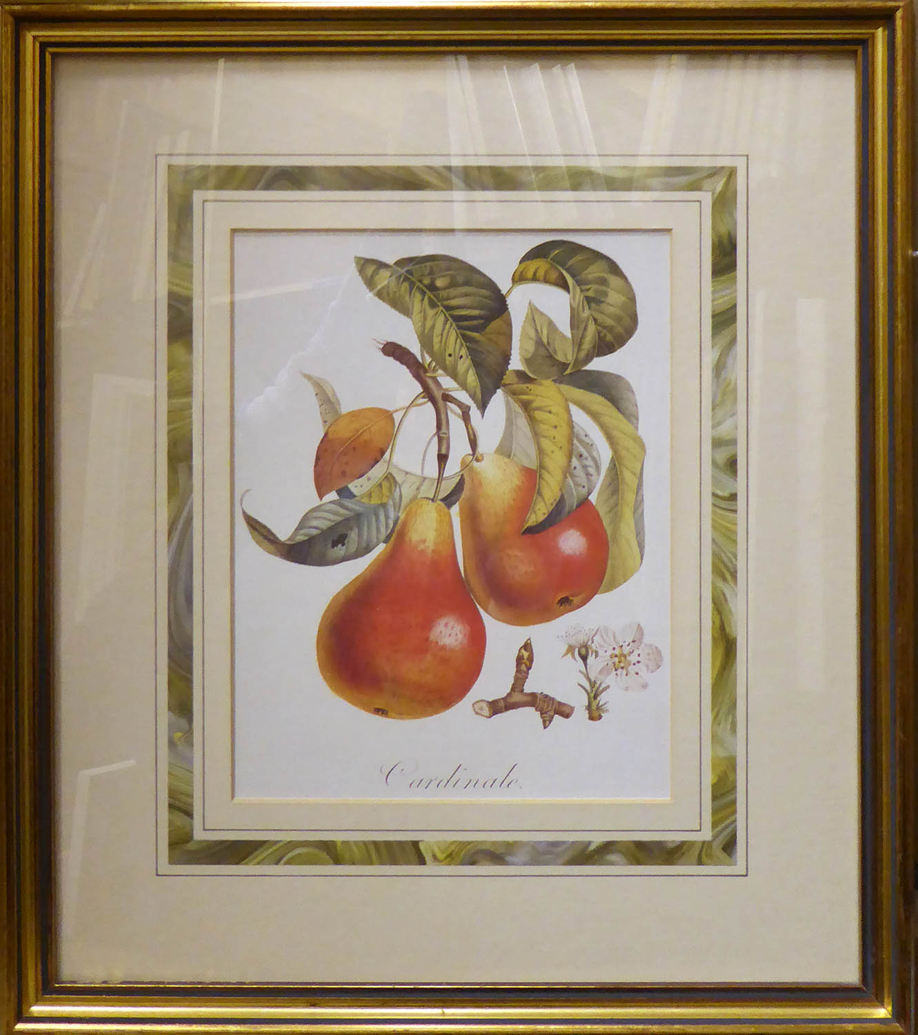 BOTANICAL PRINTS, of fruit, set of six, gilt framed, 25cm x 30cm each. (6) - Image 3 of 5