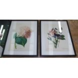 AFTER REDOUTE FLORAL PRINTS, a pair, framed, each overall 41cm W x 52cm H. (2)