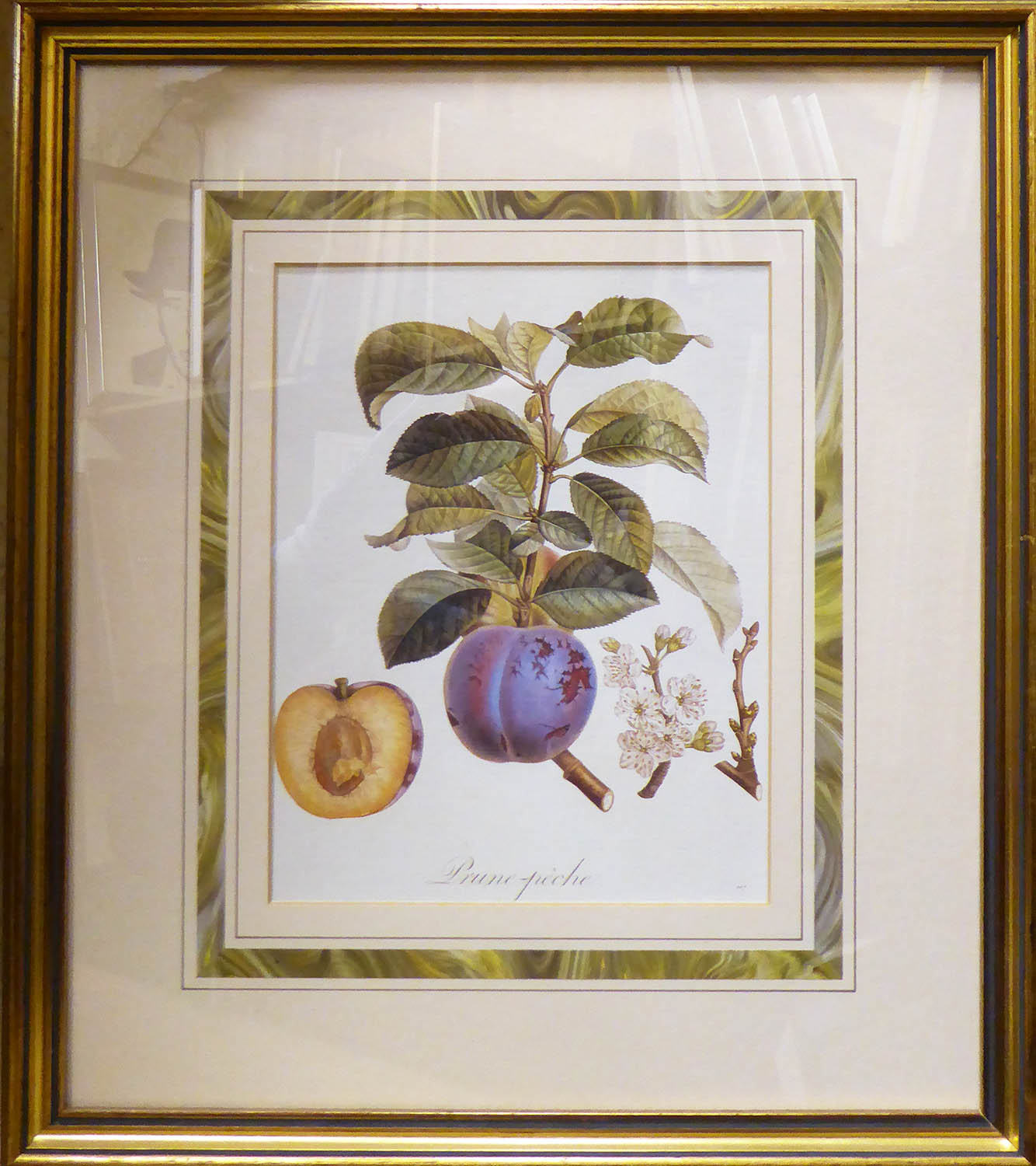 BOTANICAL PRINTS, of fruit, set of six, gilt framed, 25cm x 30cm each. (6) - Image 2 of 5