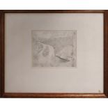 MARILYN GORE ATKINSON (b.1946), 'River glass', pencil, 13cm x 15cm, label verso, framed.