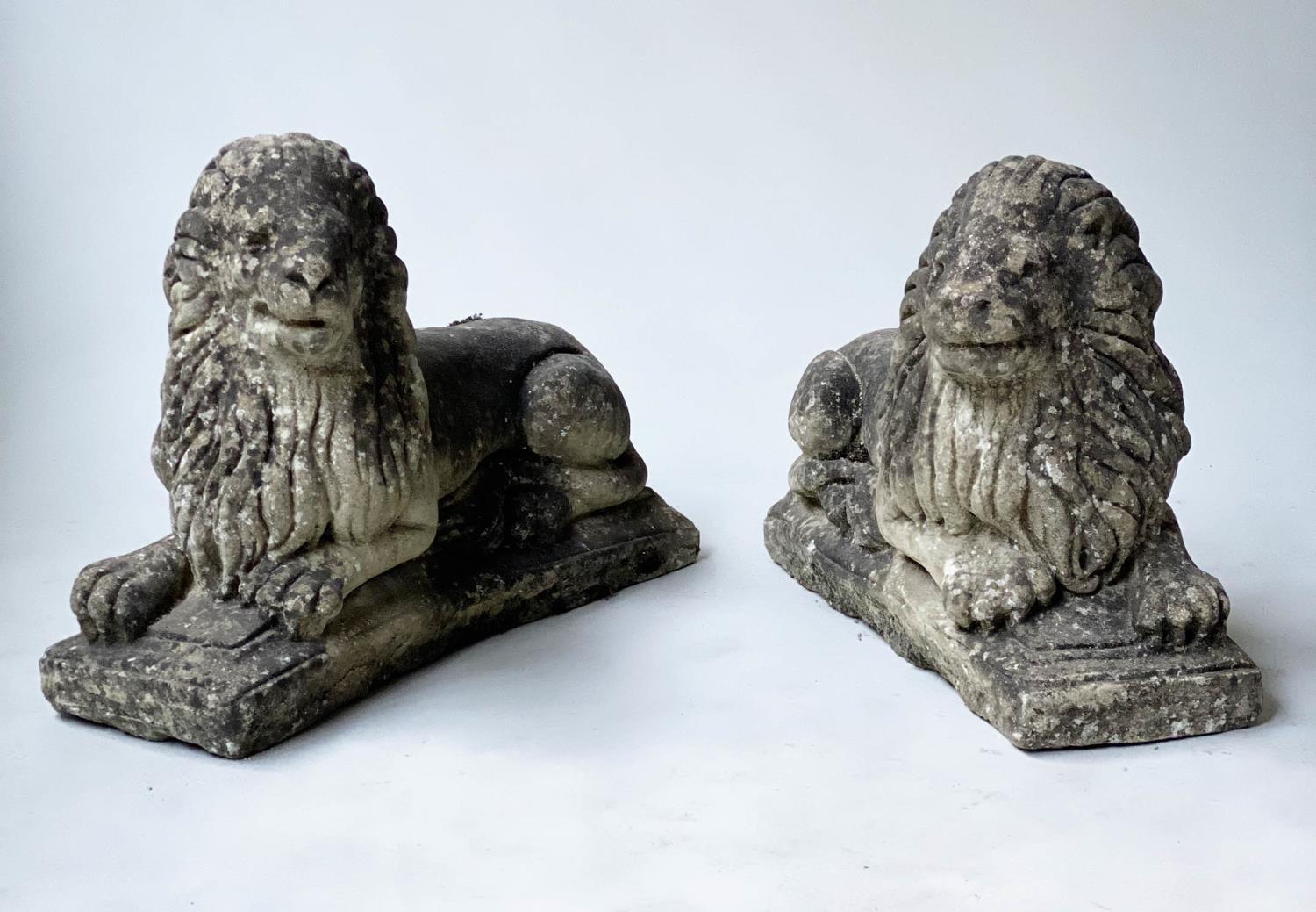 GARDEN/GATE LIONS, a pair, opposing reconstituted stone of lions recumbent, 41cm H x 59cm. (2) - Image 4 of 5