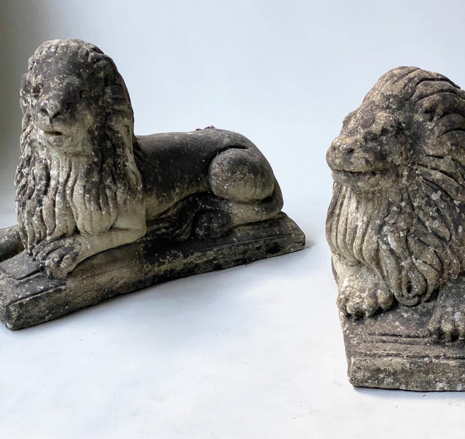 GARDEN/GATE LIONS, a pair, opposing reconstituted stone of lions recumbent, 41cm H x 59cm. (2)