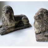 GARDEN/GATE LIONS, a pair, opposing reconstituted stone of lions recumbent, 41cm H x 59cm. (2)