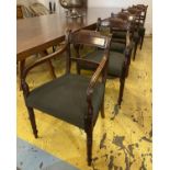 DINING CHAIRS, a set of six, Regency mahogany including two carvers 54cm W with olive stuffover