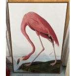 AFTER JOHN JAMES AUDUBON PRINTS, from the birds of America on canvas, framed a set of two, 113cm x