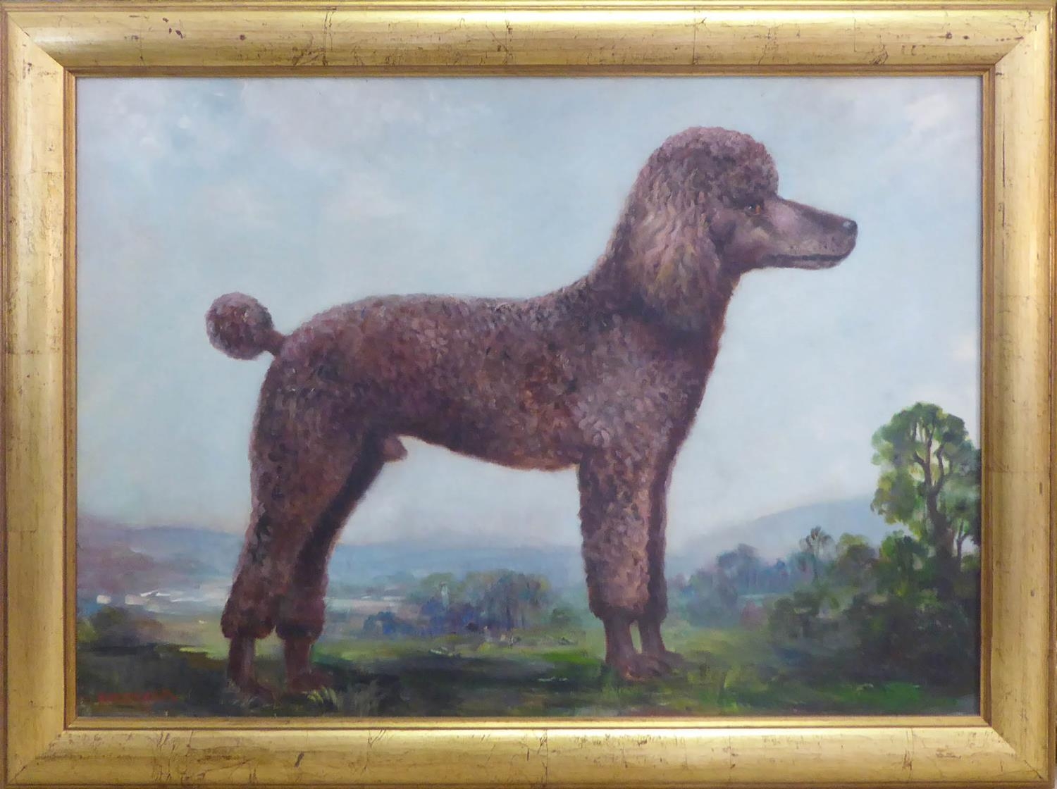 HARDACKER 'Portrait of a poodle', oil on canvas, signed lower left, 50cm x 60cm, framed.
