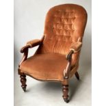 ARMCHAIR, Victorian walnut with button back brown velvet upholstery and showarms, 60cm W.