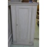 HALL CUPBOARD, 19th century grey painted pine with a central panelled door flanked by panels