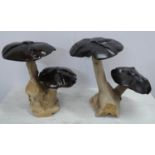 TOADSTOOLS, a pair, sculptural studies, 48cm at tallest approx. (2)