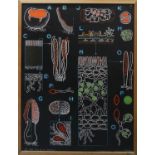 SCHOOL SCIENCE POSTER, vintage 1960's, French framed, 103cm W x 134cm.
