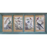 INSECTS SHELLS AND ANIMALS, hand coloured prints, displayed in verdigris shah window frames, a set