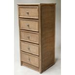 TALL CHEST, 48cm W x 46cm D x 110cm H, cane panelled, with five drawers.