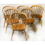 ERCOL COWHORN CHAIR, 48cm W, six, by Lucian Ercolani. (6)