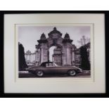 PHOTO PRINT OF JAGUAR, 58cm x 48cm, framed and glazed.