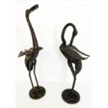 CONTEMPORARY SCHOOL, 85cm x 26cm, sculptural studies of two cranes. (2)