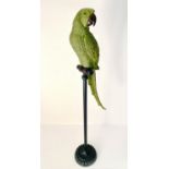 CONTEMPORARY SCHOOL, 116cm H, sculptural parrot on stand, polychrome finish.