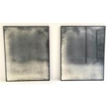 WALL MIRRORS, a pair, 100cm x 80cm, antiqued glass. (2)