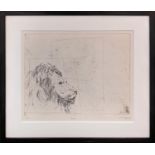 LES BIGGS RCA (20th Century British) 'Lion', etching, artist's proof, signed and dated '76,