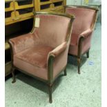 LIBRARY CHAIRS, a pair, Edwardian mahogany with pink velvet upholstery, 93cm H x 73cm. (2)