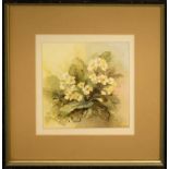 RENATE DAVIS 'Primroses', 2002, watercolour, signed and dated lower right, 21cm x 21cm, framed and