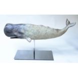 WHALE ON STAND, model of a whale on chromium stand, 75cm x 36cm H.