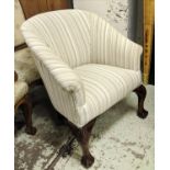 TUB CHAIR, ticking upholstery with ball and claw feet, 82cm H x 70cm.