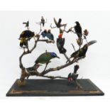 TAXIDERMY BIRDS ON BRANCHES, in a dome, 67cm W x 34cm D.