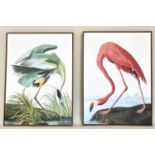 AFTER JOHN JAMES AUDUBON, prints on canvas, a pair, framed, 115cm x 83cm. (2)