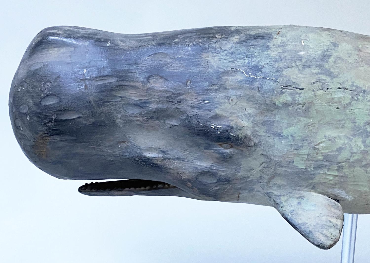 WHALE ON STAND, model of a whale on chromium stand, 75cm x 36cm H. - Image 2 of 9