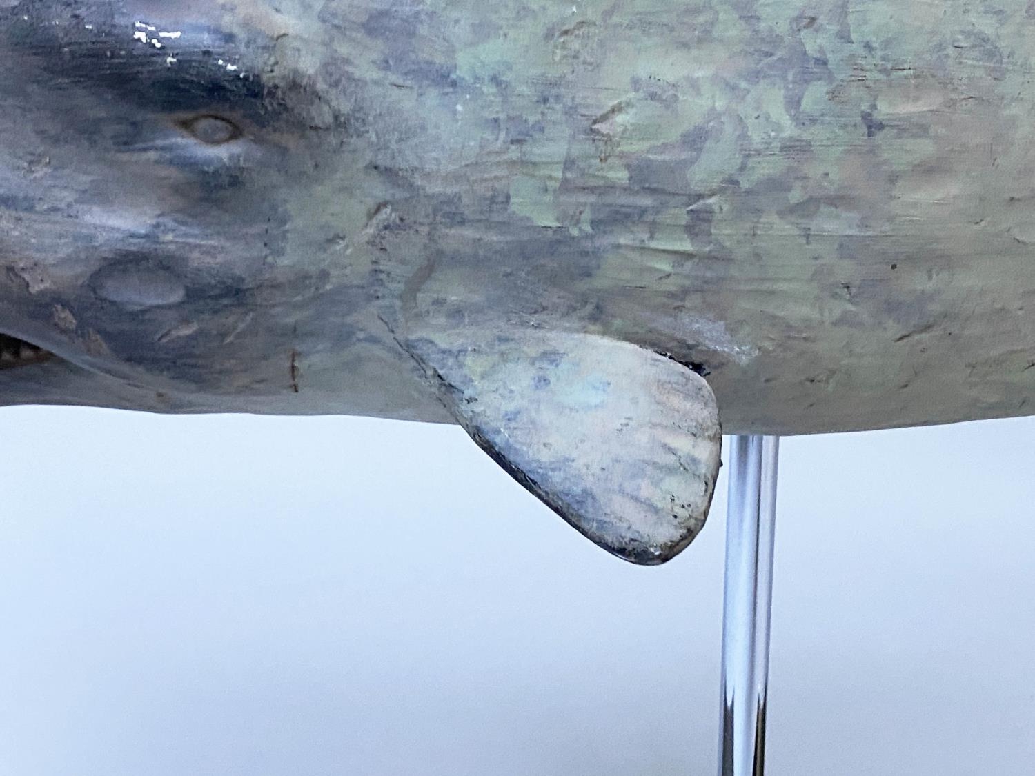 WHALE ON STAND, model of a whale on chromium stand, 75cm x 36cm H. - Image 8 of 9
