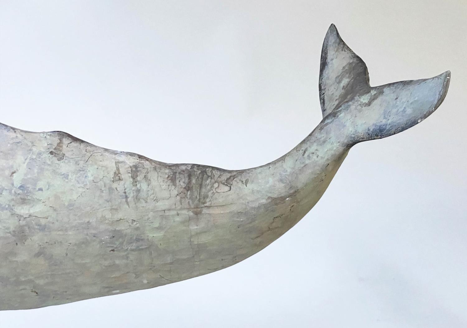 WHALE ON STAND, model of a whale on chromium stand, 75cm x 36cm H. - Image 3 of 9