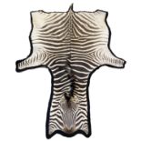 ZEBRA SKIN RUG, early 20th century full hide with a baize lining, 350cm x 210cm approx.