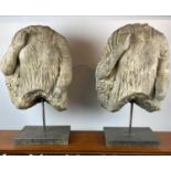GRECO ROMAN STYLE TORSOS ON STANDS, a pair, after the antique, 80cm H x 50cm x 25cm. (2)