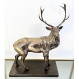 CONTEMPORARY SCHOOL, 40cm x 20cm x 50cm, sculptural study of a stag, faux bronze.