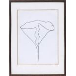 ELLSWORTH KELLY 'Orchid', 1982, original lithograph, printed by Maeght, 38 x 28cm, framed and