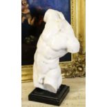 ADONIS SCULPTURE, study of a male torso, marble effect on black marble base, 35cm H.