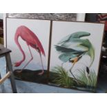 AFTER JOHN JAMES AUBUDON PRINTS, a pair, 113cm x 83cm, from the birds of America. (2)