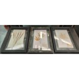 PRESSED BOTANICAL DISPLAYS, a set of six, 58cm x 40cm, framed and glazed. (6)