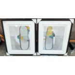 CONTEMPORARY SCHOOL DIPTYCH PRINTS, 69cm X 59cm, framed and glazed. (2)