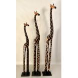 A FAMILY OF GIRAFFES, 200cm at tallest, carved wood (3).